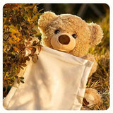 Hide and Seek Talking Plush Bear