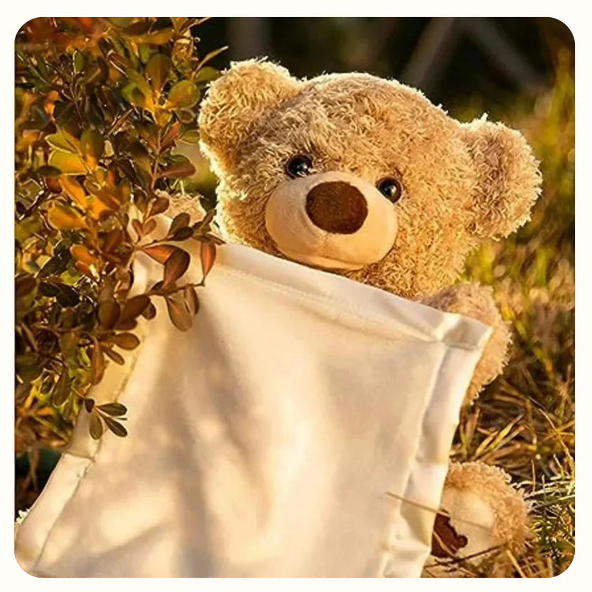 Hide and Seek Talking Plush Bear