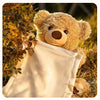 Hide and Seek Talking Plush Bear 2